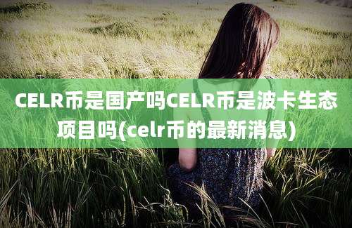 CELR币是国产吗CELR币是波卡生态项目吗(celr币的最新消息)