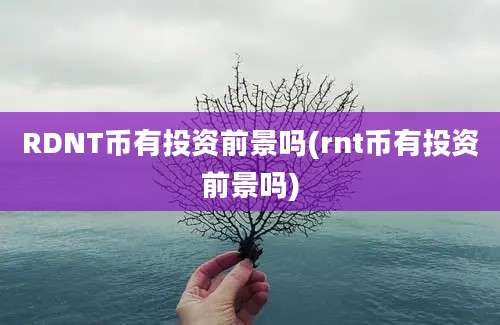 RDNT币有投资前景吗(rnt币有投资前景吗)