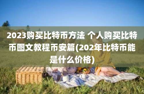 2023购买比特币方法 个人购买比特币图文教程币安篇(202年比特币能是什么价格)