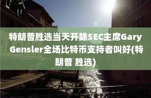 特朗普胜选当天开除SEC主席Gary Gensler全场比特币支持者叫好(特朗普 胜选)