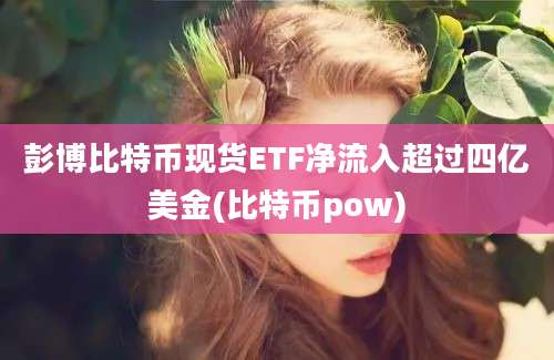 彭博比特币现货ETF净流入超过四亿美金(比特币pow)