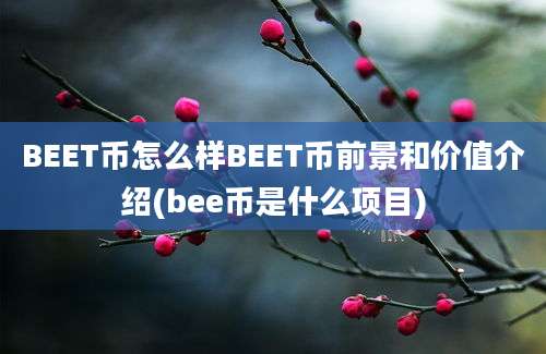 BEET币怎么样BEET币前景和价值介绍(bee币是什么项目)