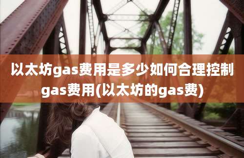 以太坊gas费用是多少如何合理控制gas费用(以太坊的gas费)