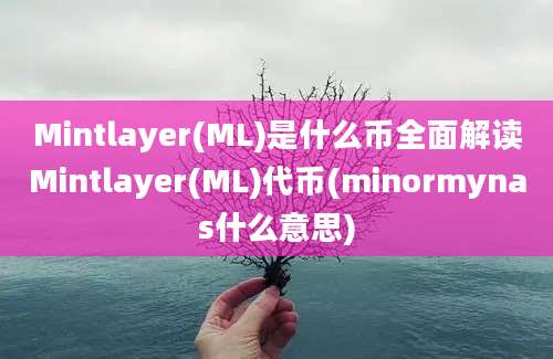 Mintlayer(ML)是什么币全面解读Mintlayer(ML)代币(minormynas什么意思)