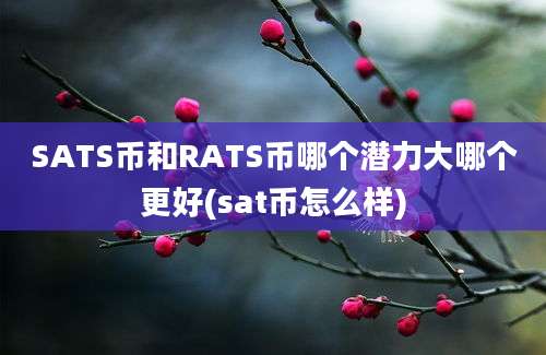 SATS币和RATS币哪个潜力大哪个更好(sat币怎么样)