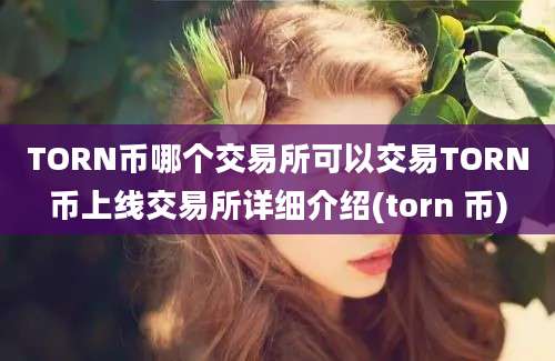 TORN币哪个交易所可以交易TORN币上线交易所详细介绍(torn 币)