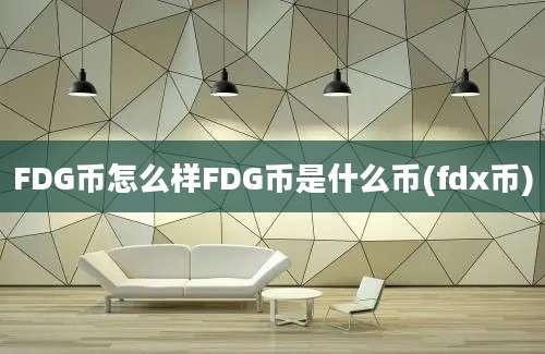 FDG币怎么样FDG币是什么币(fdx币)