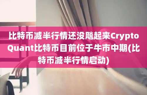 比特币减半行情还没飚起来CryptoQuant比特币目前位于牛市中期(比特币减半行情启动)