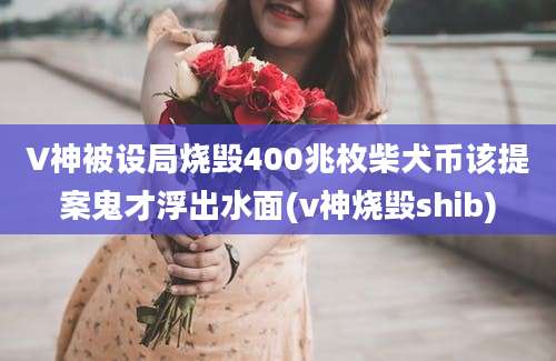 V神被设局烧毁400兆枚柴犬币该提案鬼才浮出水面(v神烧毁shib)