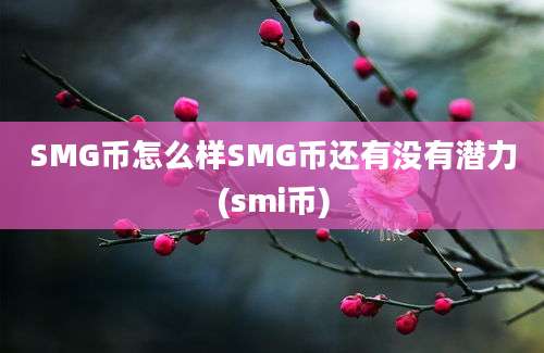 SMG币怎么样SMG币还有没有潜力(smi币)