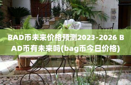 BAD币未来价格预测2023-2026 BAD币有未来吗(bag币今日价格)