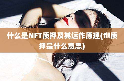 什么是NFT质押及其运作原理(fil质押是什么意思)