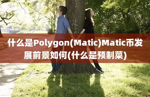 什么是Polygon(Matic)Matic币发展前景如何(什么是预制菜)