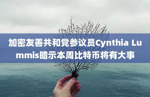 加密友善共和党参议员Cynthia Lummis暗示本周比特币将有大事