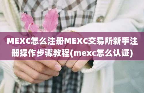 MEXC怎么注册MEXC交易所新手注册操作步骤教程(mexc怎么认证)