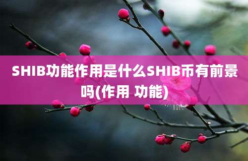 SHIB功能作用是什么SHIB币有前景吗(作用 功能)