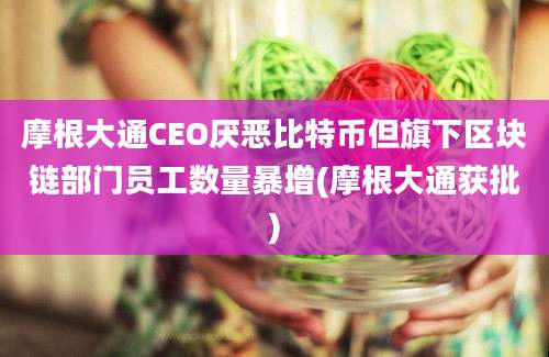 摩根大通CEO厌恶比特币但旗下区块链部门员工数量暴增(摩根大通获批)