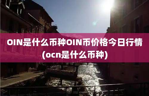 OIN是什么币种OIN币价格今日行情(ocn是什么币种)