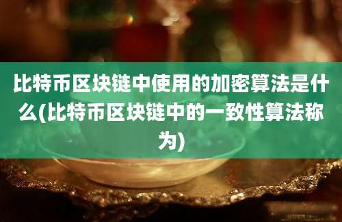 比特币区块链中使用的加密算法是什么(比特币区块链中的一致性算法称为)