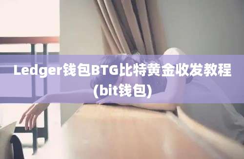 Ledger钱包BTG比特黄金收发教程(bit钱包)