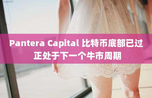 Pantera Capital 比特币底部已过 正处于下一个牛市周期