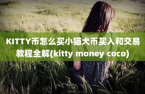 KITTY币怎么买小猫犬币买入和交易教程全解(kitty money coco)