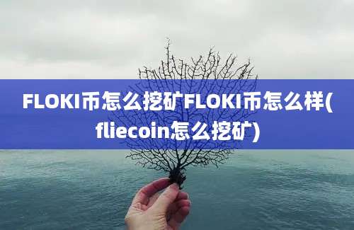 FLOKI币怎么挖矿FLOKI币怎么样(fliecoin怎么挖矿)