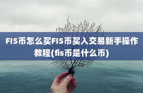 FIS币怎么买FIS币买入交易新手操作教程(fis币是什么币)