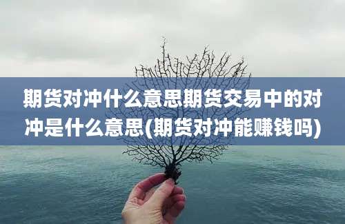 期货对冲什么意思期货交易中的对冲是什么意思(期货对冲能赚钱吗)