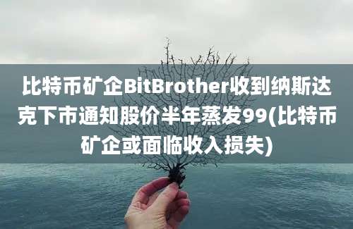 比特币矿企BitBrother收到纳斯达克下市通知股价半年蒸发99(比特币矿企或面临收入损失)