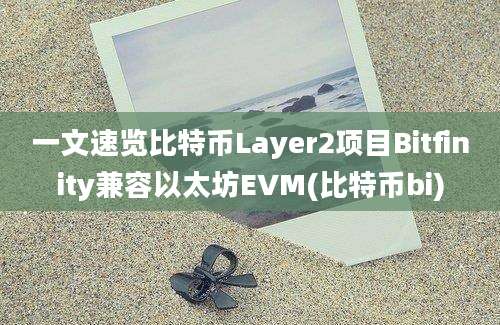 一文速览比特币Layer2项目Bitfinity兼容以太坊EVM(比特币bi)