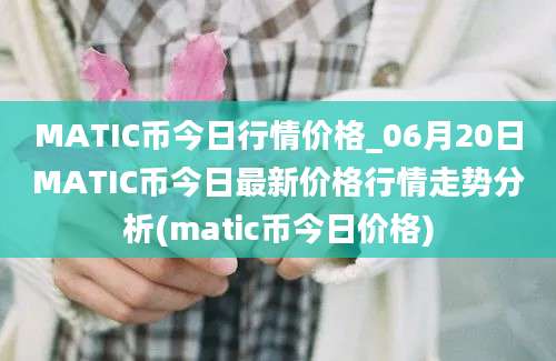 MATIC币今日行情价格_06月20日MATIC币今日最新价格行情走势分析(matic币今日价格)