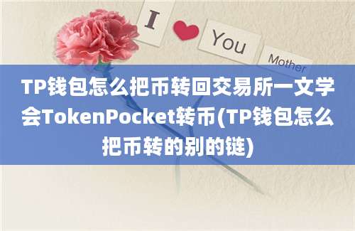 TP钱包怎么把币转回交易所一文学会TokenPocket转币(TP钱包怎么把币转的别的链)