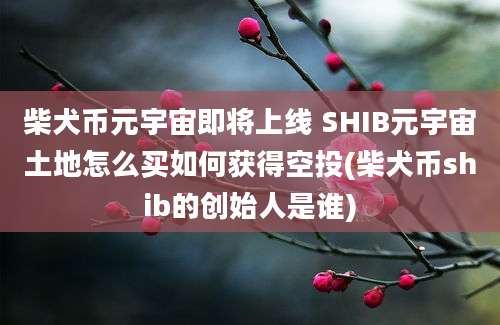 柴犬币元宇宙即将上线 SHIB元宇宙土地怎么买如何获得空投(柴犬币shib的创始人是谁)