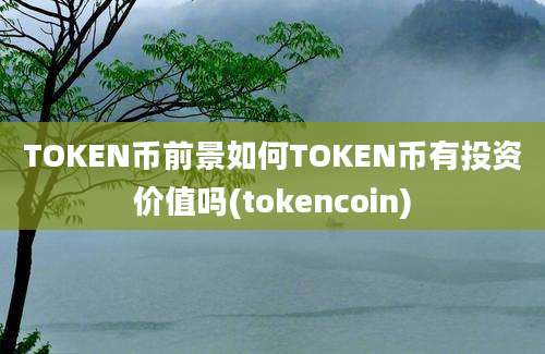 TOKEN币前景如何TOKEN币有投资价值吗(tokencoin)