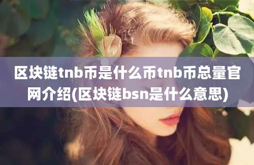 区块链tnb币是什么币tnb币总量官网介绍(区块链bsn是什么意思)