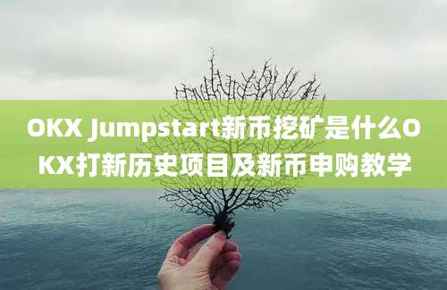 OKX Jumpstart新币挖矿是什么OKX打新历史项目及新币申购教学