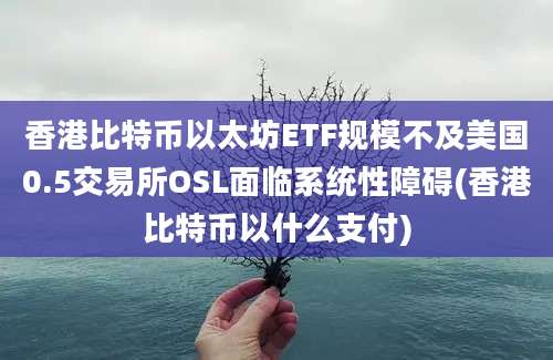 香港比特币以太坊ETF规模不及美国0.5交易所OSL面临系统性障碍(香港比特币以什么支付)