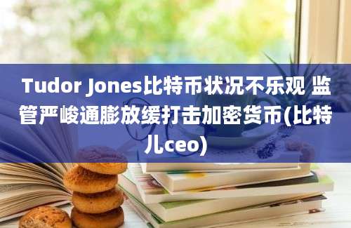 Tudor Jones比特币状况不乐观 监管严峻通膨放缓打击加密货币(比特儿ceo)