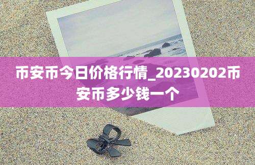 币安币今日价格行情_20230202币安币多少钱一个