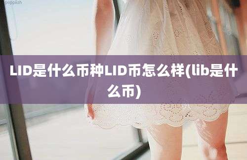 LID是什么币种LID币怎么样(lib是什么币)