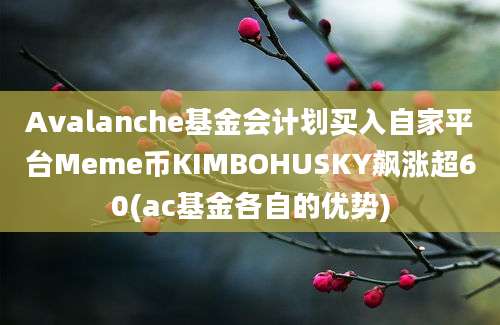 Avalanche基金会计划买入自家平台Meme币KIMBOHUSKY飙涨超60(ac基金各自的优势)