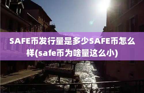 SAFE币发行量是多少SAFE币怎么样(safe币为啥量这么小)