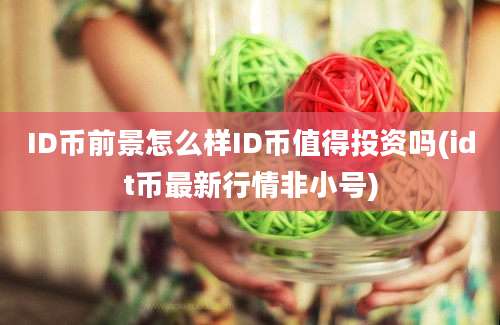 ID币前景怎么样ID币值得投资吗(idt币最新行情非小号)