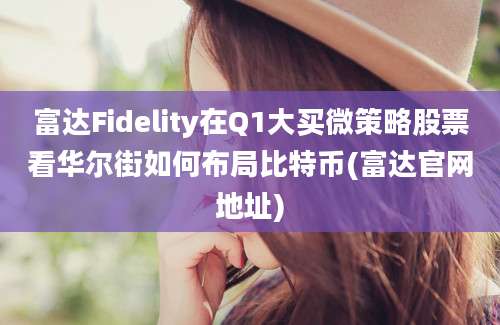 富达Fidelity在Q1大买微策略股票看华尔街如何布局比特币(富达官网地址)