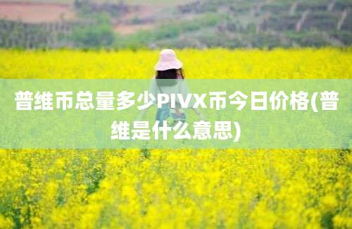 普维币总量多少PIVX币今日价格(普维是什么意思)