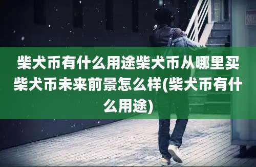 柴犬币有什么用途柴犬币从哪里买柴犬币未来前景怎么样(柴犬币有什么用途)