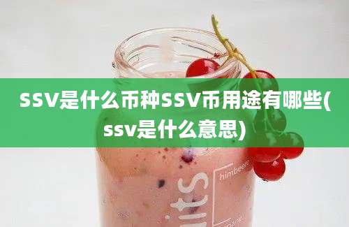 SSV是什么币种SSV币用途有哪些(ssv是什么意思)