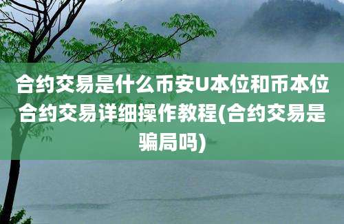 合约交易是什么币安U本位和币本位合约交易详细操作教程(合约交易是骗局吗)