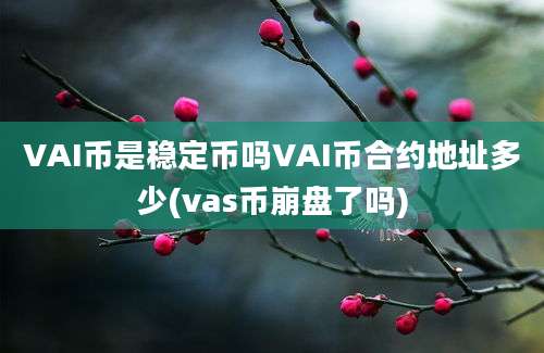 VAI币是稳定币吗VAI币合约地址多少(vas币崩盘了吗)